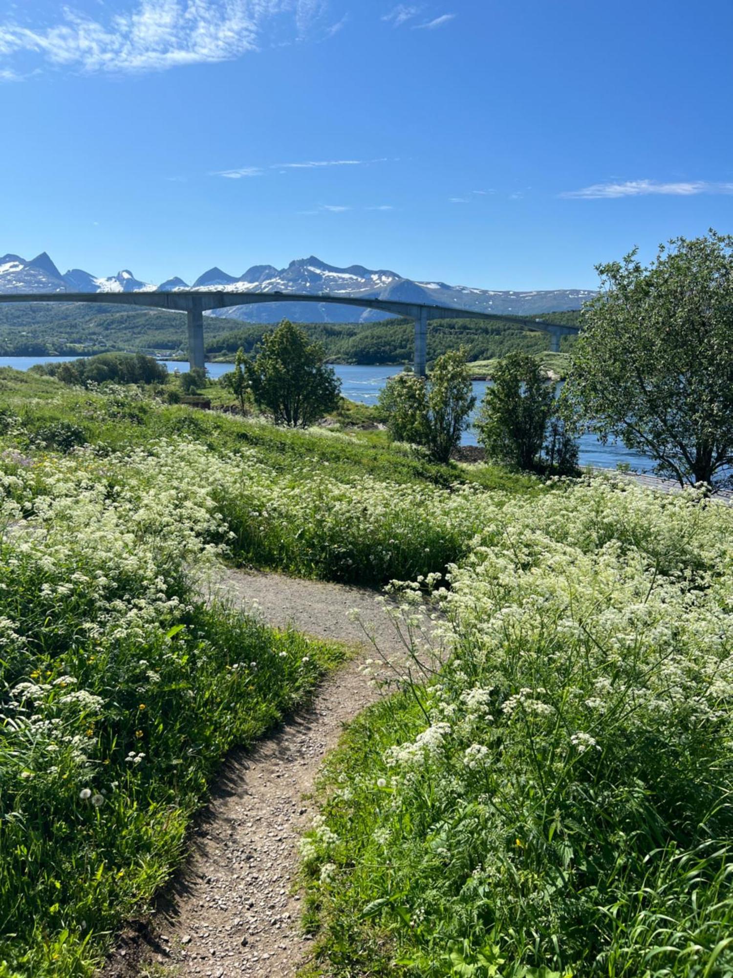 Saltstraumen Hotels Hytter Knapplund Экстерьер фото